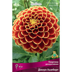 ����  �������� ������������ ����� ������� (1 ��.), ������ �� 501 ���