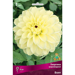 ����  �������� ���������� ����, ������ �� 484 ���