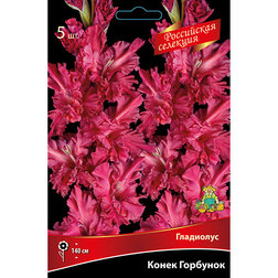 ����  ��������� ����� �������� (5 ��.), ������ �� 637 ���