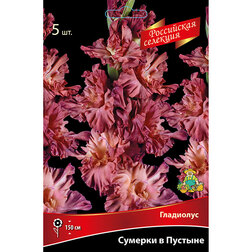 ����  ��������� ������� � �������, ������ �� 637 ���