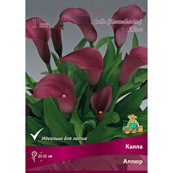 ����  ����� �����, ������ �� 360 ���