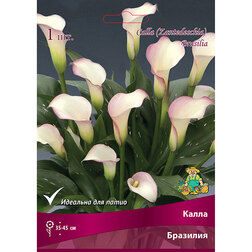 ����  ����� ��������, ������ �� 360 ���