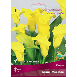 ����  ����� ������ �������, ������ �� 360 ���