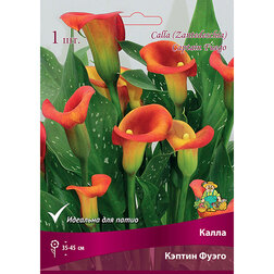 ����  ����� ������ �����, ������ �� 360 ���