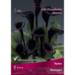 ����  ����� �������, ������ �� 360 ���