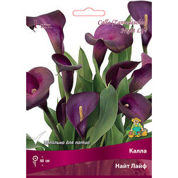 ����  ����� ���� ����, ������ �� 360 ���