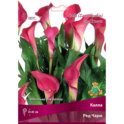 ����  ����� ��� ����, ������ �� 360 ���