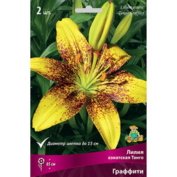 ����  ����� ��������� ����� ��������, ������ �� 387 ���