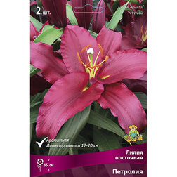 ����  ����� ��������� ��������, ������ �� 370 ���