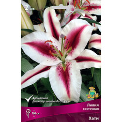 ����  ����� ��������� ����, ������ �� 370 ���