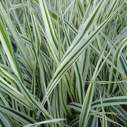 ����  ������� �������� ������ (������������), ������ �� 374 ���