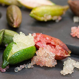 ����  ������ ���� �����������, ������ �� 1411 ���