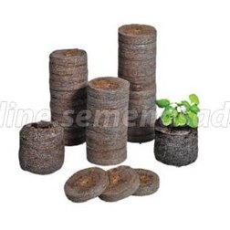 ����  �������� �JIFFY-7� (44��), ������ �� 23 ���