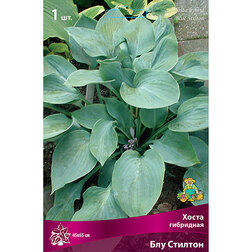 ����  ����� ��������� ��� �������, ������ �� 292 ���