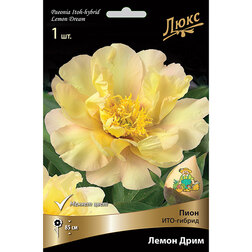 ����  ����� ���-������� ����� ����, ������ �� 2864 ���