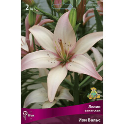 ����  ����� ��������� ��� �����, ������ �� 438 ���