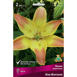 ����  ����� ��������� ��� �������, ������ �� 438 ���