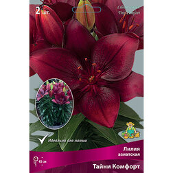 ����  ����� ��������� ��������� ����� ������� (2 ��.), ������ �� 299 ���