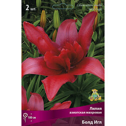 ����  ����� ��������� �������� ���� ��� (2 ��.), ������ �� 462 ���