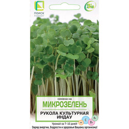 ����  ����� (������) ���������� (�����������), ������ �� 42 ���