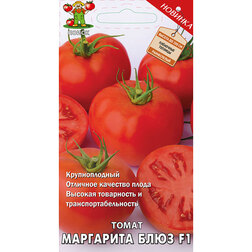 ����  ����� ��������� ���� F1, ������ �� 37 ���