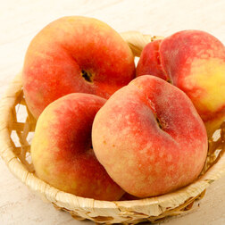 ����  ������ ��������� ����� (������ �����) (� �����), ������ �� 873 ���