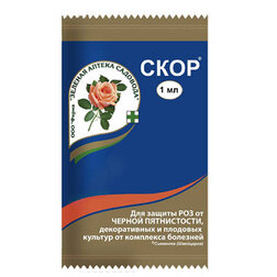 ����  ���� (1��.) (�� ��������� ��������), ������ �� 53 ���