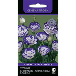 ����  ������� ��������������� ������ ��� ��� (������ �����), ������ �� 144 ���