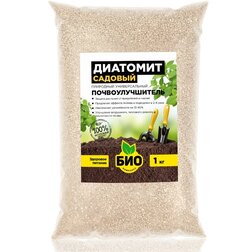 ����  �������� ������� (1�.) ���-��������, ������ �� 169 ���