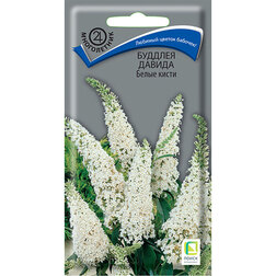 ����  ������� ������ ����� �����, ������ �� 45 ���