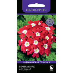 ����  ������� ����� ��� ��� �� (������ �����), ������ �� 89 ���