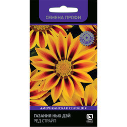 ����  ������� ��� ��� ��� ������ (������ �����), ������ �� 141 ���