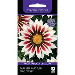 ����  ������� ��� ��� ���� ������ (������ �����), ������ �� 141 ���