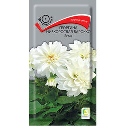 ����  �������� ����������� ������� �����, ������ �� 38 ���