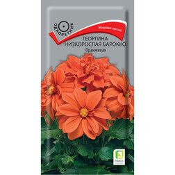 ����  �������� ����������� ������� ���������, ������ �� 38 ���