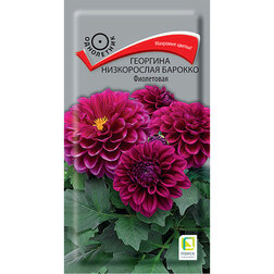 ����  �������� ����������� ������� ����������, ������ �� 38 ���