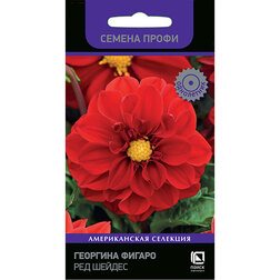 ����  �������� ������ ��� ������ (������ �����), ������ �� 102 ���