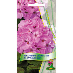 ����  ���������� ��������� ������ ��������, ������ �� 135 ���