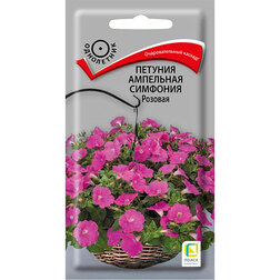 ����  ������� ��������� �������� �������, ������ �� 137 ���