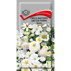 ����  ����� ������� ������ ����� �����, ������ �� 28 ���