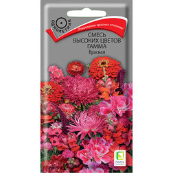 ����  ����� ������� ������ ����� �������, ������ �� 28 ���