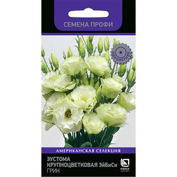 ����  ������� ��������������� ������ ���� (������ �����), ������ �� 144 ���