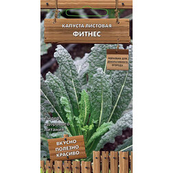 ����  ������� �������� (����) ������ (������������ ������), ������ �� 30 ���