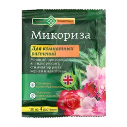 ����  �������� �/��������� 10� ������ ����������, ������ �� 34 ���