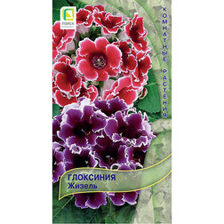 ����  ��������� ������, ������ �� 74 ���