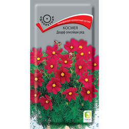 ����  ������ ����� �������� ���, ������ �� 26 ���