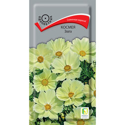 ����  ������ �����, ������ �� 26 ���