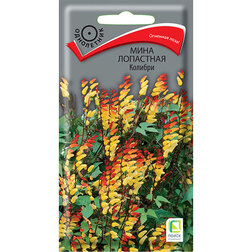 ����  ���� ��������� �������, ������ �� 26 ���