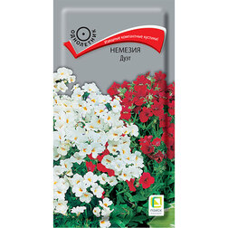 ����  ������� ����, ������ �� 32 ���