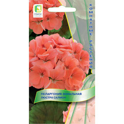 ����  ���������� ��������� ������ ������, ������ �� 154 ���